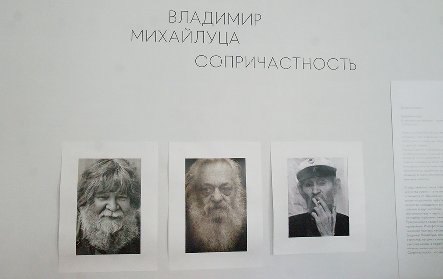 Владимир Михайлуца