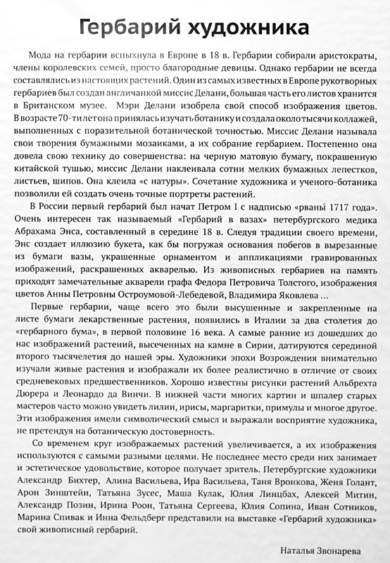 Наталья Звонарёва