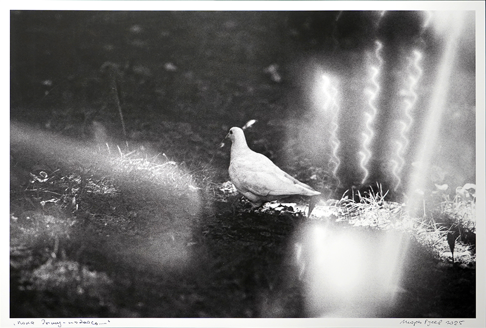 Игорь Гусев