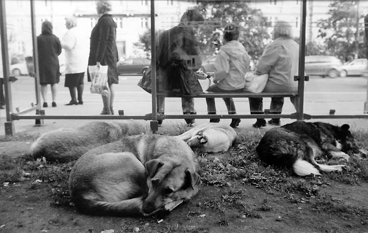 Антон Вершовский