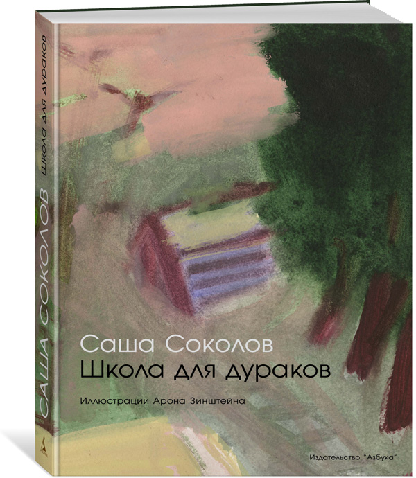 Саша Соколов, Арон Зинштейн