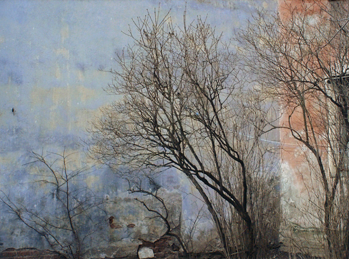 Дмитрий Конрадт
