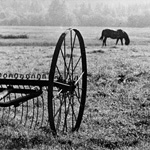 Людмила Таболина. «Земля Ладыгино». Серебряно-желатиновая фотография. Эрарта