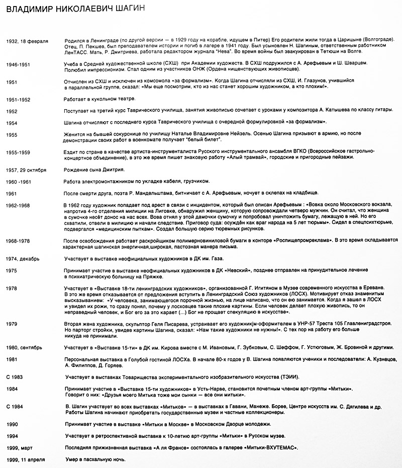 Владимир Шагин