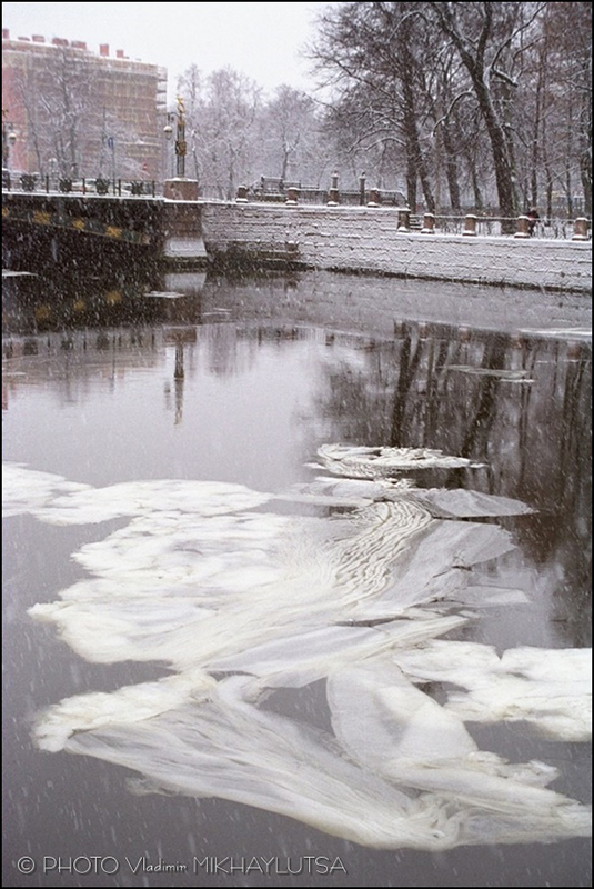 Владимир Михайлуца