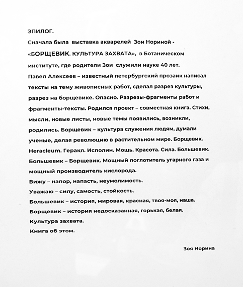 Зоя Норина