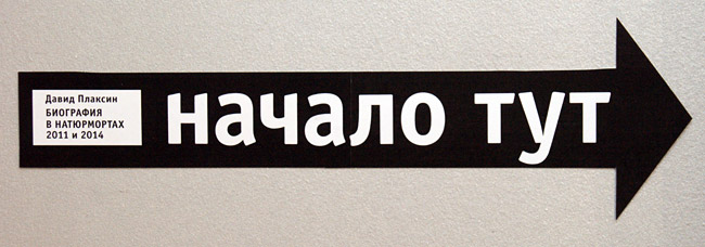 Давид Плаксин