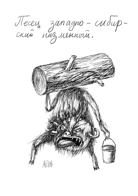 Афанасий Пуд