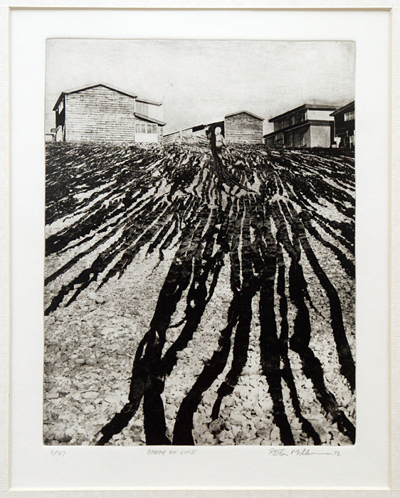Peter Miller