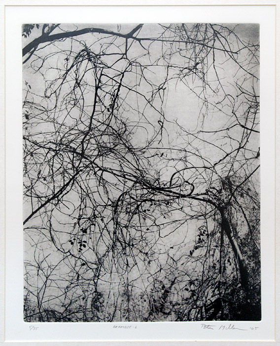Peter Miller